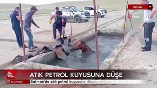 Batman'da atık petrol kuyusuna düşen sahipsiz at kurtarıldı