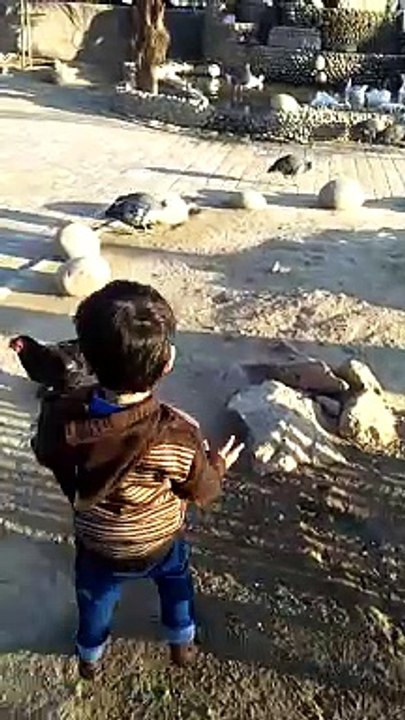 chicken hunt #shorts #viral #trending #foryou #tiktok #delicious #gaming #reels#dailymotion #France #Pakistan #Algeria #India #USA #Iran #entertainment #tour #fun