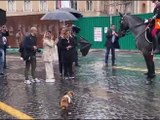 Meloni si ferma per una foto con la mascotte Briciola e i Carabinieri a cavallo