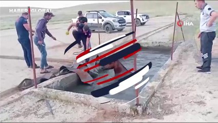 Sahipsiz at düştüğü kuyudan uzun uğraşlar sonucu kurtarıldı