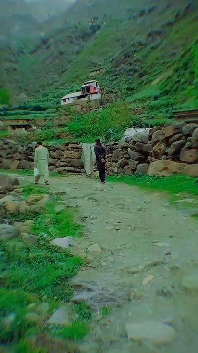 Natural video