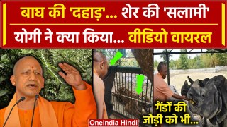 CM Yogi बाघ और शेर के बीच ? Gorakhpur Zoo में क्या हुआ कि Video Viral है | UP News | वनइंडिया हिंदी
