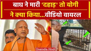 CM Yogi के सामने बाघ ने मारी दहाड़, फिर क्या हुआ | Video Viral | UP News | वनइंडिया हिंदी #Shorts