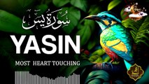 Surah Yasin (Yaseen) سورة يس | Relaxing Soothing Healing Quran Recitation | Quran Tilawat Zikr