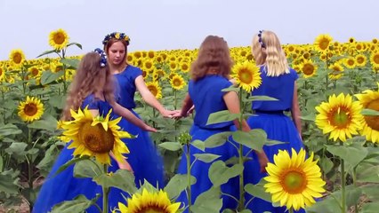 Наливайківка, Соняхи. Команда "Іскорка" (2023)