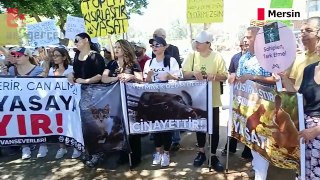 Mersin'de hayvan hakları savunucularından miting: Katliama izin vermeyeceğiz