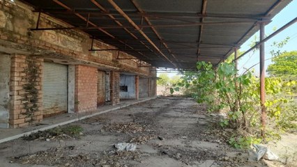 Agriculture : एक ऐसी मंडी जहां नहीं होता है व्यापार