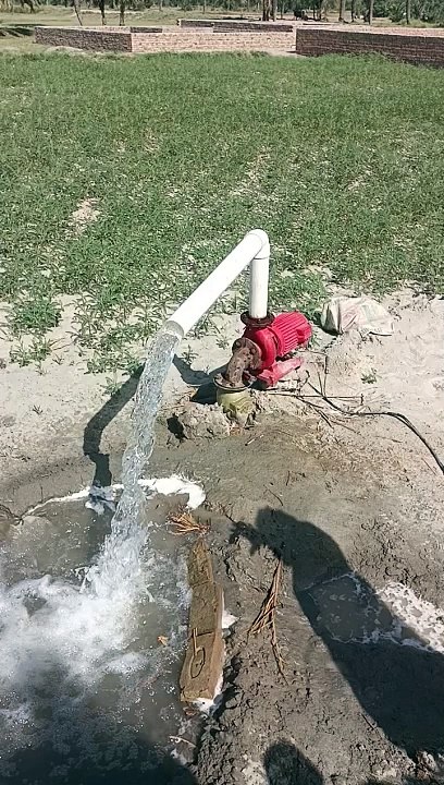 پیٹر