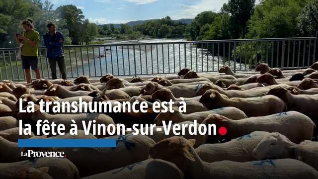 La transhumance est à la fête à Vinon-sur-Verdon