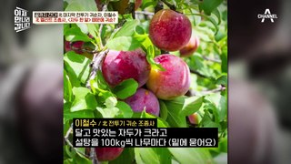 북한에서 특급 대우 받던 엘리트 조종사 이철수, 'OO' 한 알 때문에 목숨을 건 귀순 결심?