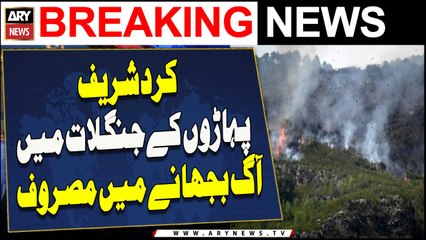 جنگل میں آگ بجھانے کی کوششیں جاری 🔥