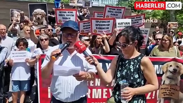 Eskişehir Emek ve Demokrasi Platformu, sokak hayvanlarına yönelik kanun teklifi protestosu düzenledi