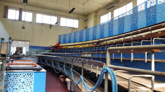 Il tuffo in mare verso la libertà, viaggio nell'«ospedale» delle tartarughe ferite