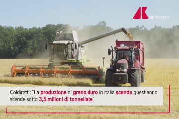 Grano, calo della produzione in Italia