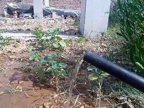 Hot weather can be extremely dangerous, especially during prolonged heatwaves. Prolonged exposure to high temperatures can lead to heat exhaustion, heat stroke, and even death.