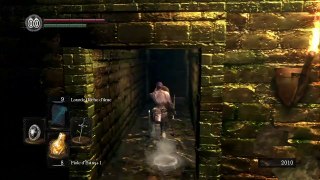 Dark Souls: Prepare to Die Edition online multiplayer - ps3