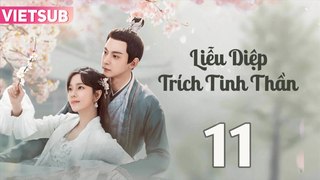 LIỄU DIỆP TRÍCH TINH THẦN - Tập 11 VIETSUB | Đường Hiểu Thiên & Trang Đạt Phi