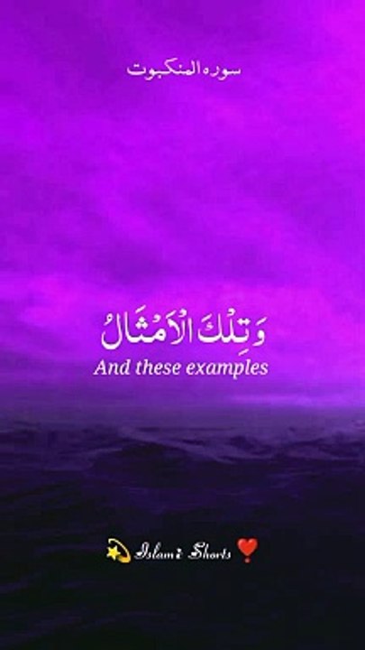 km_surah Al Muzammil _720p_50f_20240526_162817