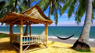 Tropical Beach Hut | Happy Summer