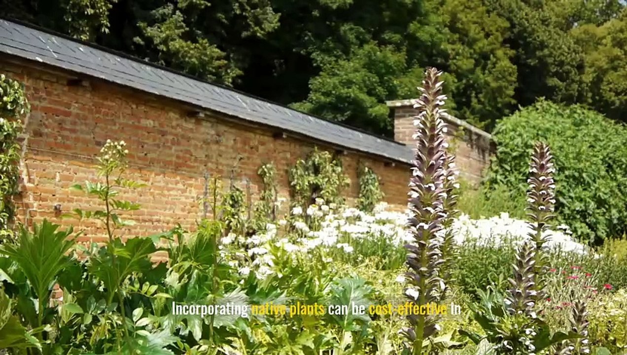 The Benefits of Native Plants in Landscaping