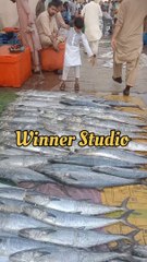 Karachi Fishri Mole//viral video New Song and Fishri Mole /