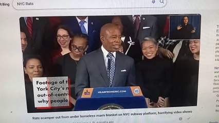 When rats attack!!  www.roapel.com