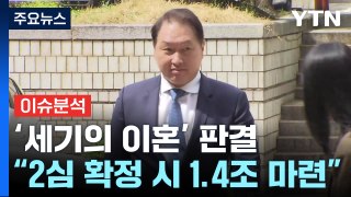 '세기의 재산분할액' SK그룹 영향은...비자금 300억 국고환수 가능? / YTN