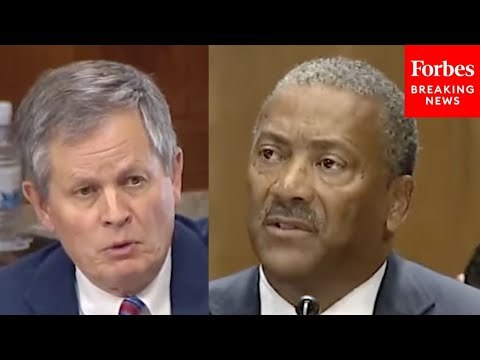 Steve Daines Raises ‘Real Concern’ Over Wildfire Mitigation To US Forest Service Chief