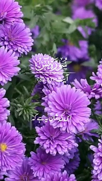 #Islamic Teachings"#Islam#Quran#Surah#taqareer#fly