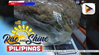 P4.5-M halaga ng Marijuana, nasabat ng Bureau of Customs sa Pasay City