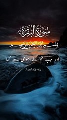 Al Quran #shortsvideos #viral #dailymotion