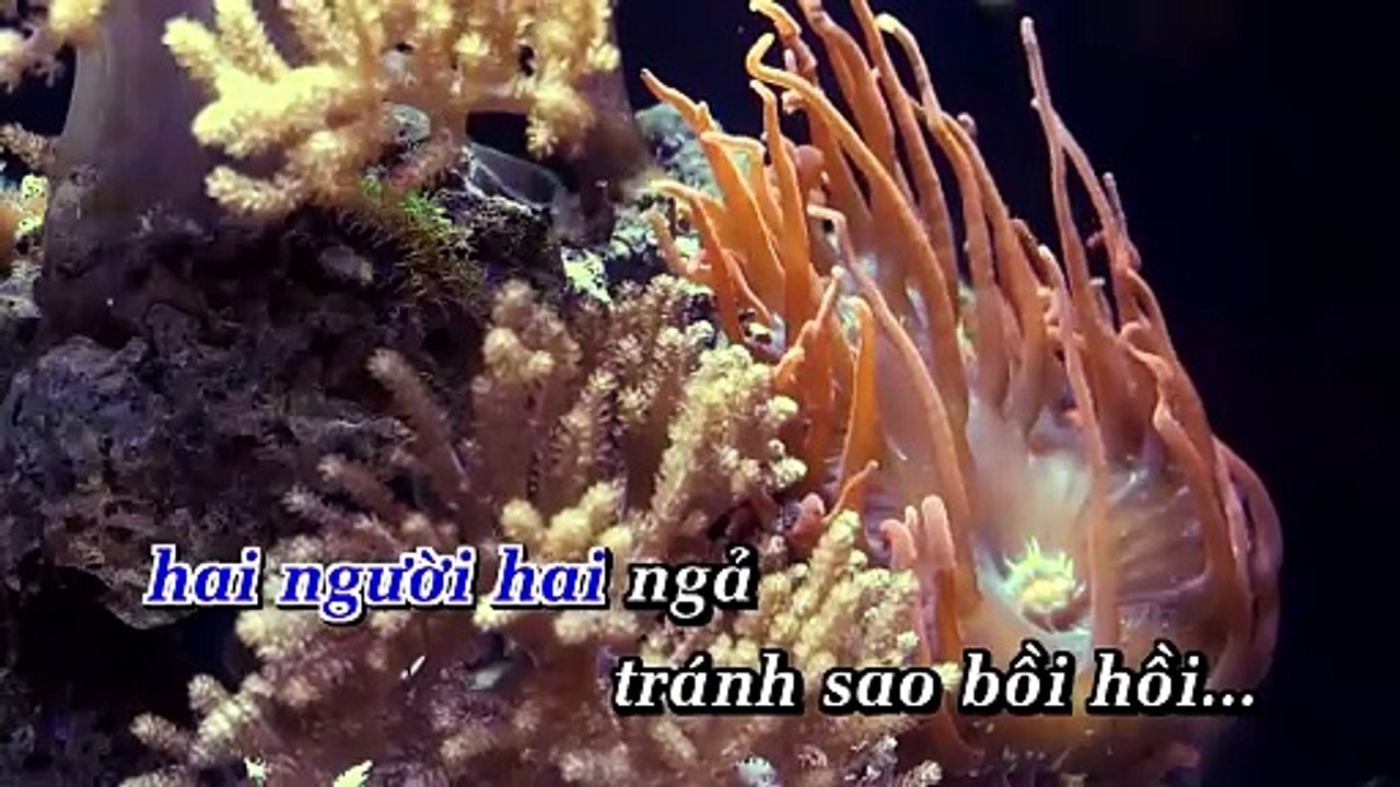 Tạ Từ Trong Đêm [Karaoke] Beat Chuẩn