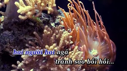 Tạ Từ Trong Đêm [Karaoke] Beat Chuẩn