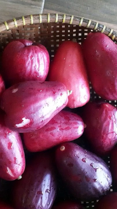 jambu