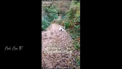 Funny Moments Of The Year Compilation