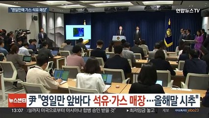 尹 "영일만 앞바다 막대한 석유·가스 매장 가능성…올해 말 시추"
