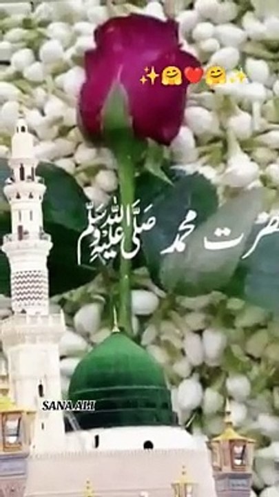 Jashn_e_Aamad_e_Rasool_#naatsharif_#specialcute_#rasool_#islamic_#shorts_#jashan(360p)