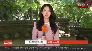 [날씨] 전국 초여름 날씨 이어져…오후부터 곳곳 소나기 소식