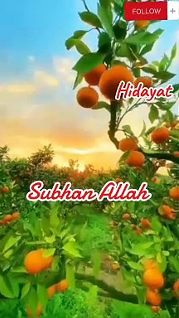 ⁣Translation of Ayaat