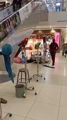 Beautiful Very intrusting video