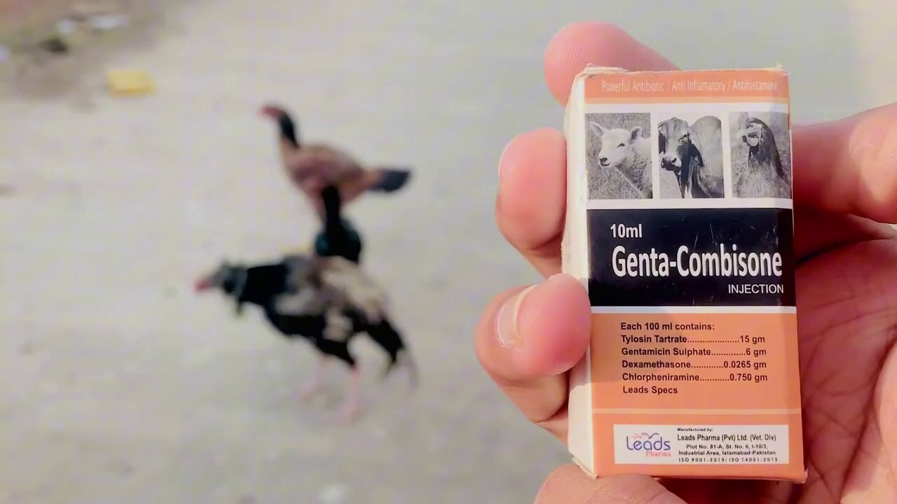 Genta-Combisone injection for Chickens _ Poultry Birds and Large Animals