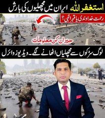 - استغفر اللہ__ ایران پر مچھلیوں کی بارش__لوگ سڑکوں سے مچھلیاں اٹھانے لگے ، ویڈیوز وائرل _رحمت خداد یا قہر الٰہی ؟_حیران کن معل(