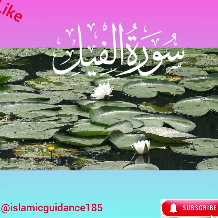 #surah#surat_feel