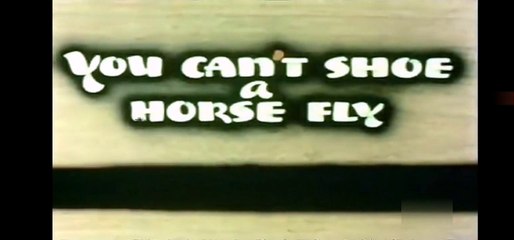 Hunky & Spunky - You Can't Shoe A Horse Fly