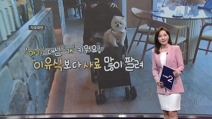 사료 판매 분유 꺾어 [앵커리포트] / YTN