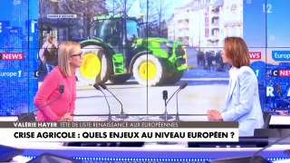 Valérie Hayer : «Le Rassemblement national ment aux Français dans cette élection»