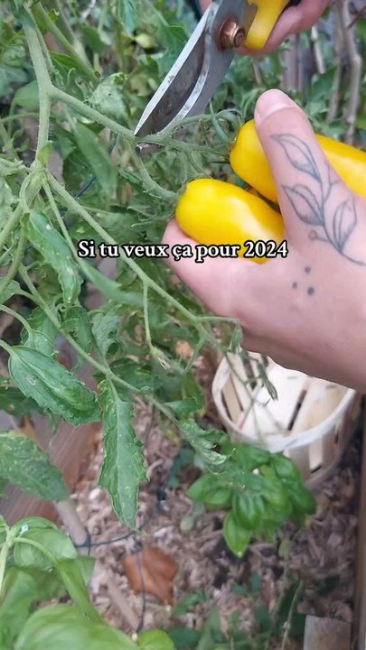 Bienvenue sur mon compte ‍♀️