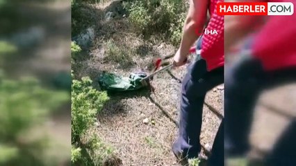 Lise bahçesindeki yılan korkuttu