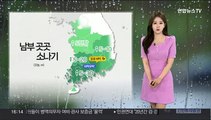 [날씨] 한낮 초여름 날씨 이어져…충청 이남 소나기