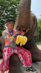 Intrusting video/#viral video#trending video